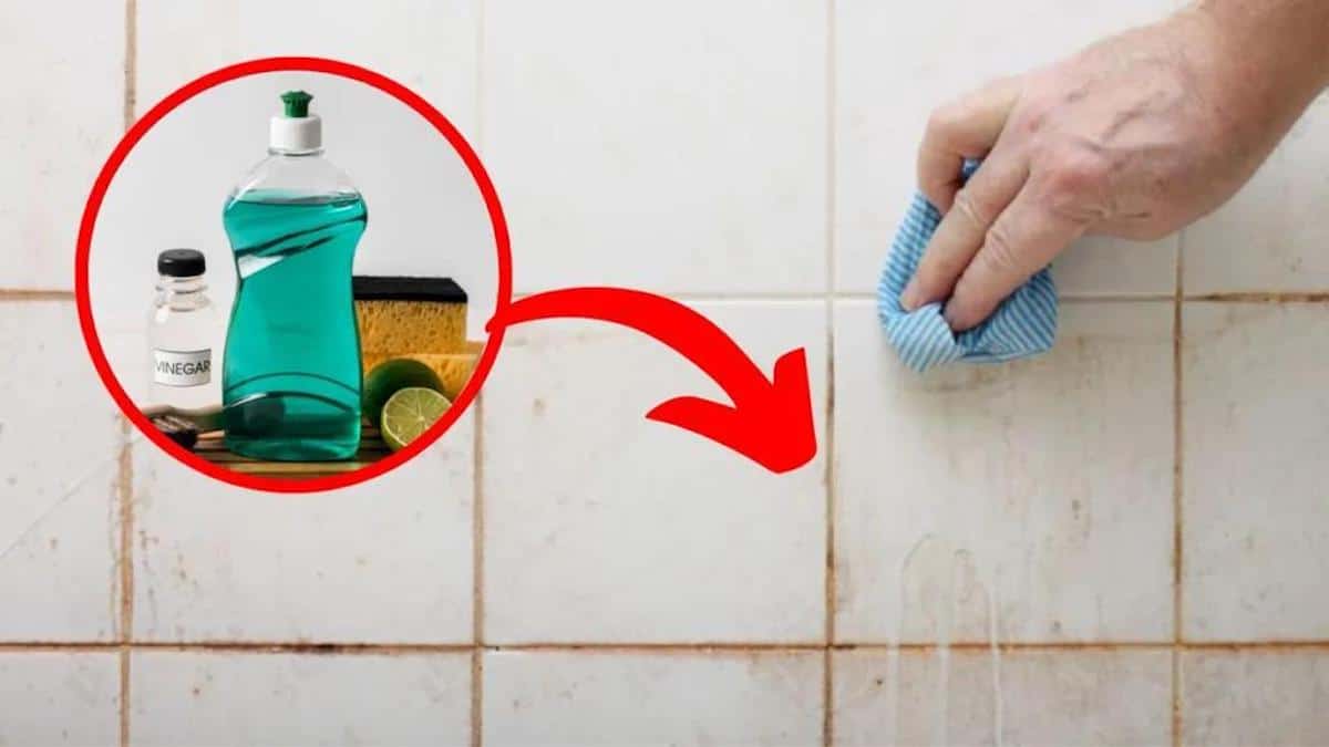 Voici la méthode infaillible pour nettoyer facilement toutes les saletés sur vos murs