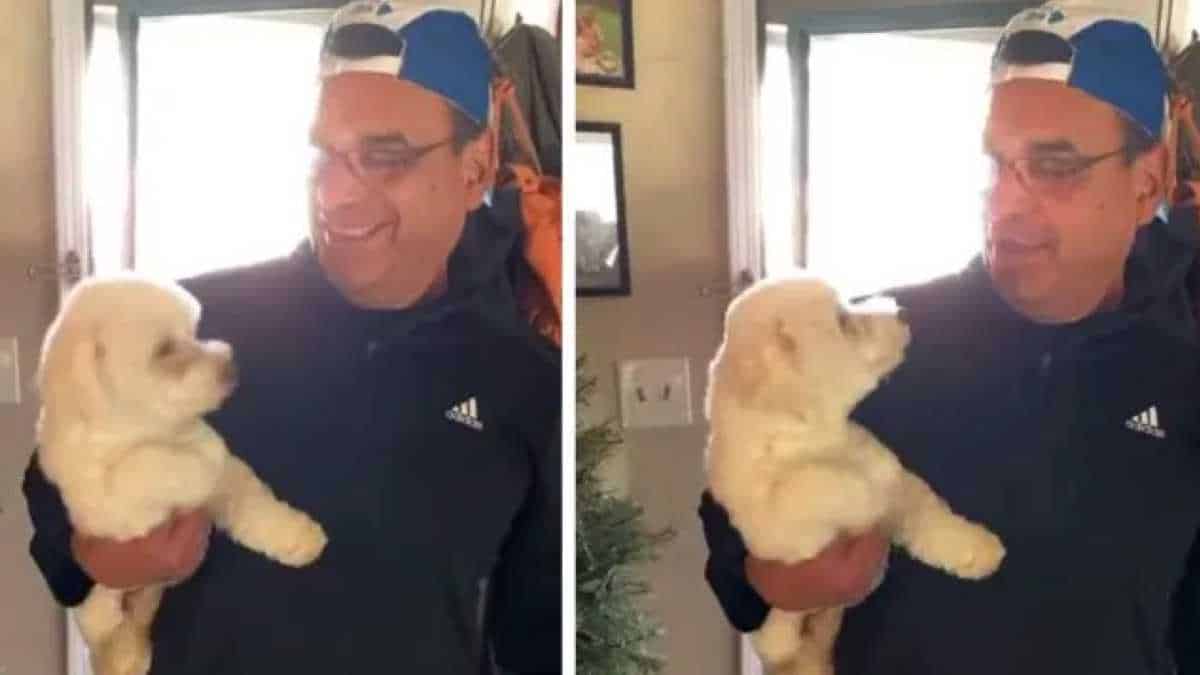 Un homme récupére son chien dans un salon de toilettage, mais rentre chez lui avec un autre