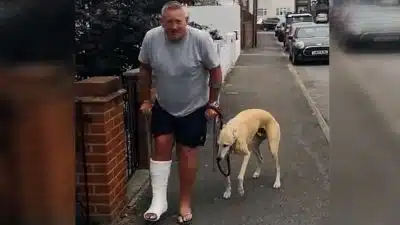 Vidéo : un chien se met à boiter après que son maître se soit cassé la cheville